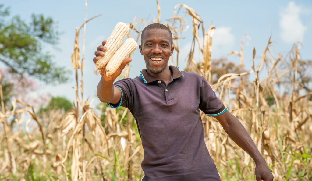 Jonan Alinda proudly shows his maize harvest in Hoima District- Uganda copy